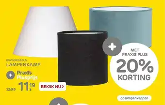 Praxis Lampenkamp aanbieding