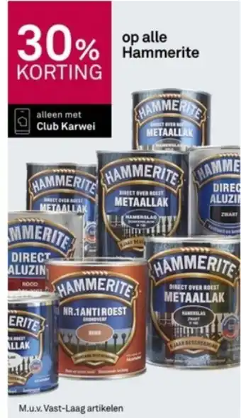 Karwei Op alle Hammerite aanbieding