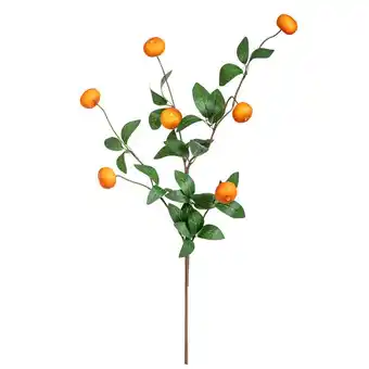 Leen Bakker Kunsttak Mandarijn - Groen/Oranje - 77 cm aanbieding