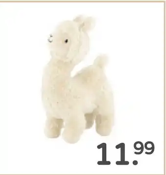 Prenatal lama aanbieding