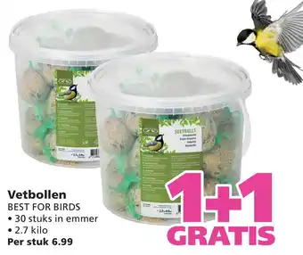 Ranzijn Vetbollen Best For Birds aanbieding