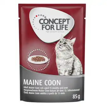 Zooplus 48x85g Maine Coon Adult (Ragout-Kwaliteit) Concept for Life Kattenvoer aanbieding