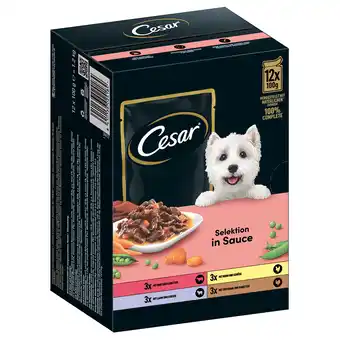 Zooplus 96x 100g Cesar Selektion Fleisch und Gemüse in Sauce Hundefutter nass aanbieding