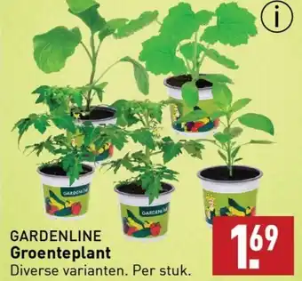 ALDI GARDENLINE Groenteplant aanbieding