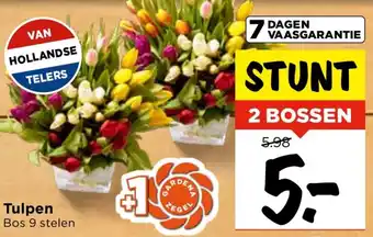 Vomar Voordeelmarkt Tulpen aanbieding