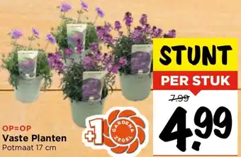 Vomar Voordeelmarkt Vaste Planten aanbieding