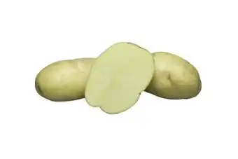 Welkoop Donald - Pootaardappelen - Iets kruimig - 28/35 - 1 kg aanbieding