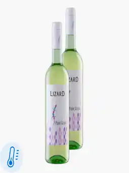 Flink Lizard Pinot Grigio 0.75l 2x aanbieding