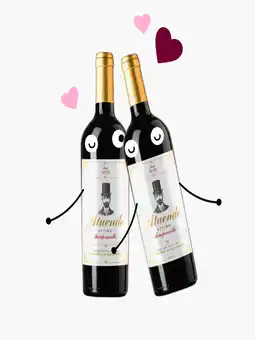 Flink Atuendo Tempranillo 0.75L 2x aanbieding