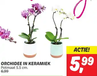 Dekamarkt ORCHIDEE IN KERAMIEK aanbieding