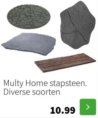 Intratuin Multy Home stapsteen. aanbieding