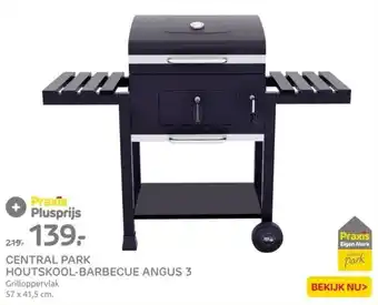 Praxis CENTRAL PARK HOUTSKOOL-BARBECUE ANGUS 3 aanbieding