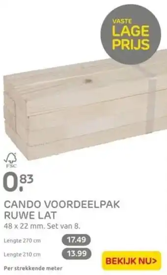 Praxis CANDO VOORDEELPAK RUWE LAT Per strekkende meter aanbieding