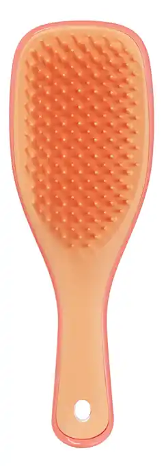 De Online Drogist Tangle Teezer Detagling Mini Haarborstel 1ST aanbieding