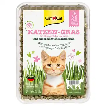 Pets Place Gimcat Kattengras - Kattensnack - Natuur 150 g aanbieding