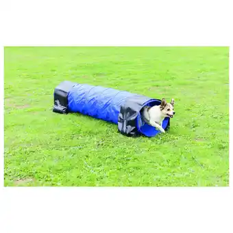 Pets Place Trixie Dog Activity Agility Tunnel - Hondensport - 40x200 cm Blauw aanbieding