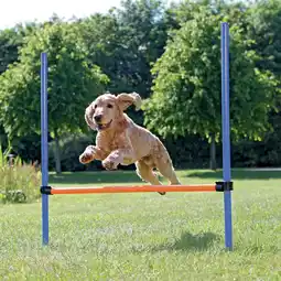 Pets Place Trixie Dog Activity Agility Horde - Hondensport - 123x115x3.0 cm Blauw Oranje aanbieding