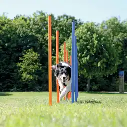 Pets Place Trixie Dog Activity Agility Slalom - Hondensport - 115x3 cm Blauw Oranje aanbieding