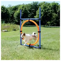 Pets Place Trixie Dog Activity Agility Ring - Hondensport - 65x115 cm Blauw Oranje aanbieding