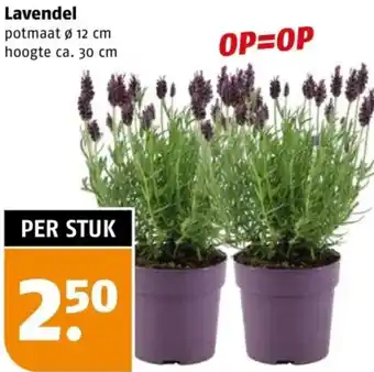 Poiesz Lavendel aanbieding