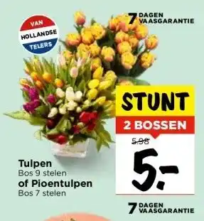 Vomar Voordeelmarkt Tulpen Bos 9 stelen of Pioentulpen aanbieding