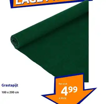 Action Grastapijt 100 x 200 cm aanbieding