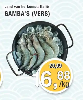 Amazing Oriëntal GAMBA'S (VERS) aanbieding