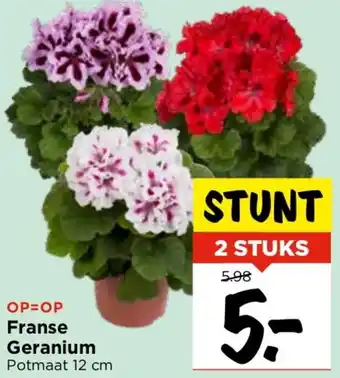Vomar Voordeelmarkt Franse Geranium aanbieding
