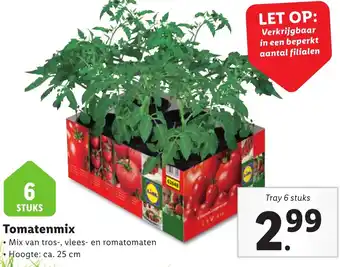 Lidl Tomatenmix aanbieding