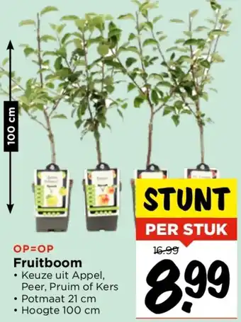 Vomar Voordeelmarkt Fruitboom aanbieding