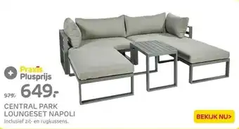 Praxis CENTRAL PARK LOUNGESET NAPOLI Inclusief zit- en rugkussens. aanbieding