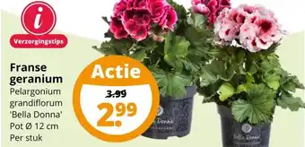 GroenRijk Franse geranium aanbieding