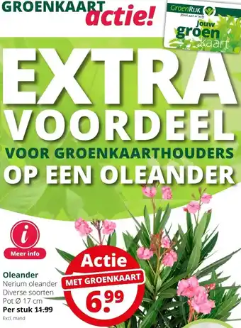 GroenRijk Oleander aanbieding