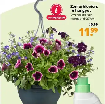 GroenRijk Zomerbloeiers in hangpot aanbieding