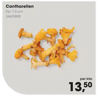 HANOS Cantharellen Fijn 1-3 cm per kilo aanbieding