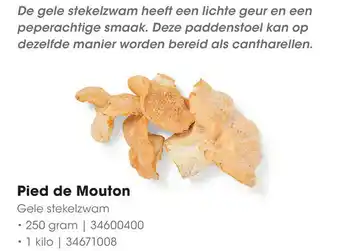 HANOS Pied de Mouton 250 gram 1 kilo aanbieding