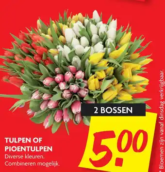 Dekamarkt Tulpen of pioentulpen aanbieding