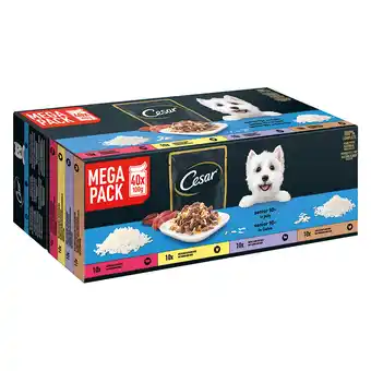 Zooplus 80 x 100 g Cesar portiezakjes in gelei Senior 10+ natvoer voor honden aanbieding