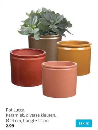 Intratuin Pot Lucca Keramiek aanbieding