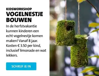 Intratuin Kidsworkshop Vogelnestje Bouwen aanbieding