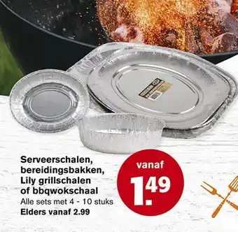 Hoogvliet Serveerschalen, bereidingsbakken, lily grillschalen of bbqwokschaal aanbieding