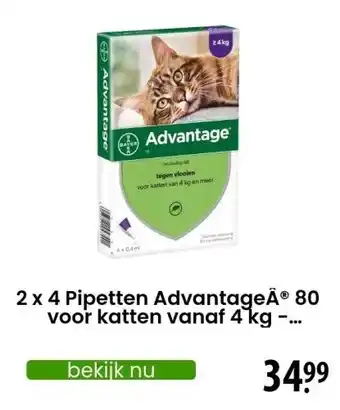 Zooplus 2 x 4 Pipetten AdvantageÂ® 80 voor katten vanaf 4 kg - Dubbelpak - NL aanbieding