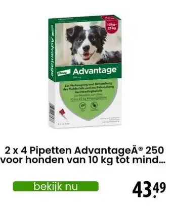 Zooplus 2 x 4 Pipetten AdvantageÂ® 250 voor honden van 10 kg tot minder dan 25 kg - Dubbelpak - NL aanbieding