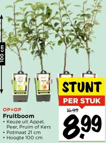 Vomar Voordeelmarkt Fruitboom aanbieding