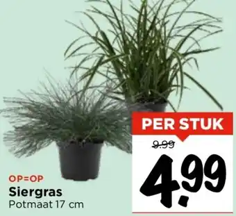 Vomar Voordeelmarkt Siergras aanbieding