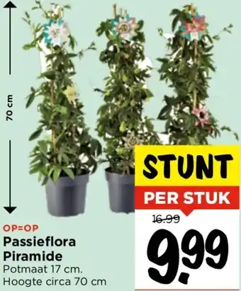 Vomar Voordeelmarkt Passieflora Piramide aanbieding