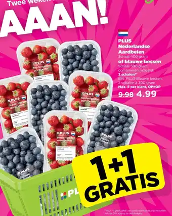 PLUS Aardbeien of blauwe bessen aanbieding