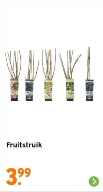 GAMMA Fruitstruik aanbieding