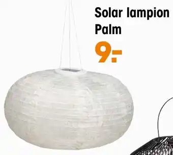 Kwantum Solar lampion Palm aanbieding