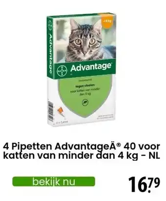 Zooplus 4 Pipetten AdvantageÂ® 40 voor katten van minder dan 4 kg - NL aanbieding